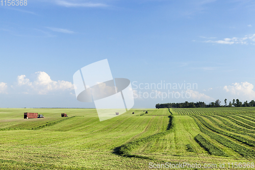Image of meadow for mowing grass