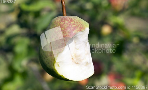 Image of Half eaten pear