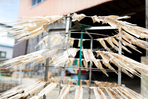 Image of Squid dried on rack