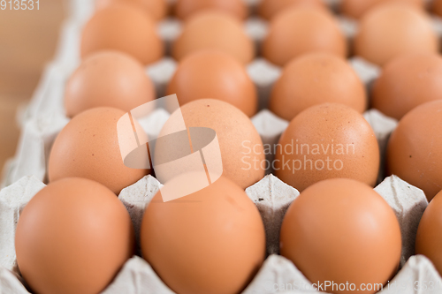 Image of Fresh chicken egg