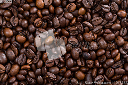 Image of Roasted Coffee bean texture