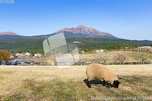 Image of Mount Kirishima and farm