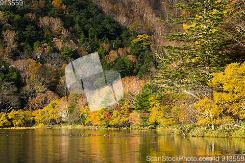 Image of Yunoko lake in Autumn