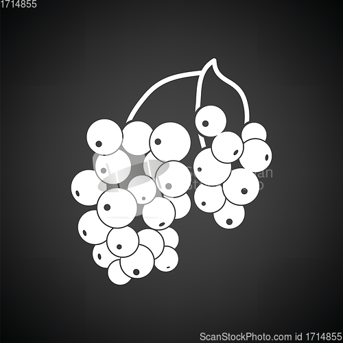 Image of Icon of Black currant