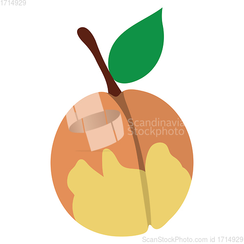 Image of Flat design icon of Peach in ui colors.