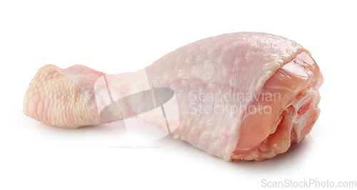 Image of fresh raw chicken legg