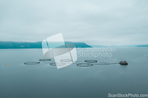 Image of Farm salmon fishing in Norway