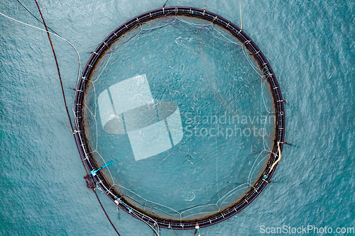 Image of Farm salmon fishing in Norway