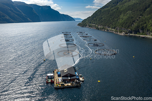 Image of Farm salmon fishing in Norway