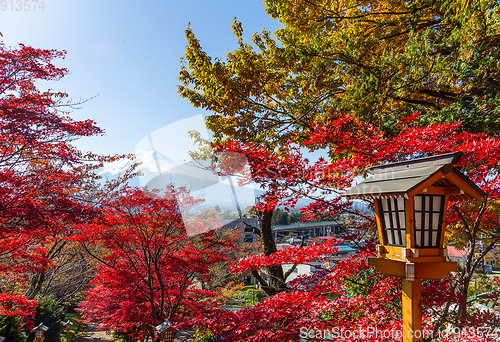 Image of Red maple tree and mount Fuji in Japan
