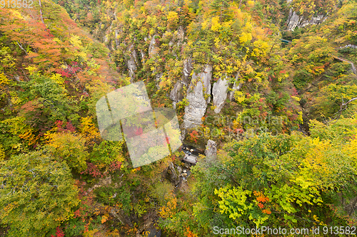 Image of Naruko canyon with autumn foliage