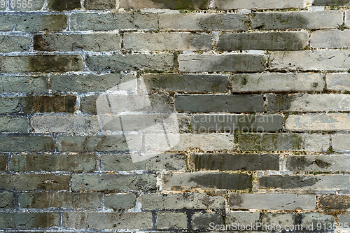 Image of Brick wall texture