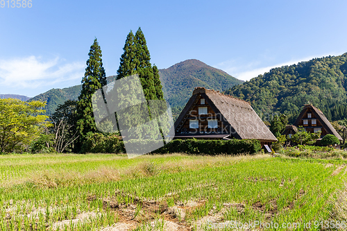 Image of Historical Japanese village Shirakawago