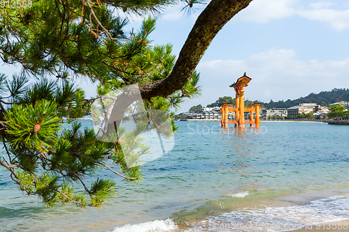 Image of Floating Torii Gate in Hiroshima of Japan