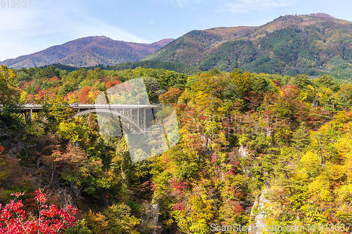 Image of Bridge passing though Naruko Gorge in autumn