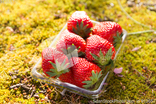 Image of Strawberry