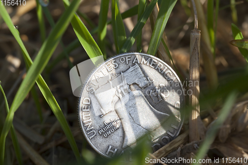 Image of money on grass