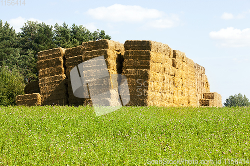 Image of Straw Bales