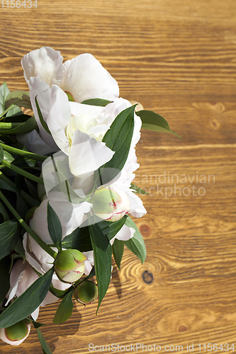 Image of Bouquet of white peonies