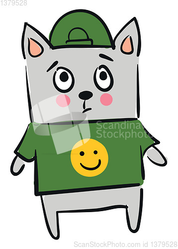 Image of Gray cat in green T-shirt 