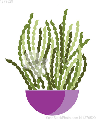 Image of A purple flower pot with spiral standing plants vector color dra