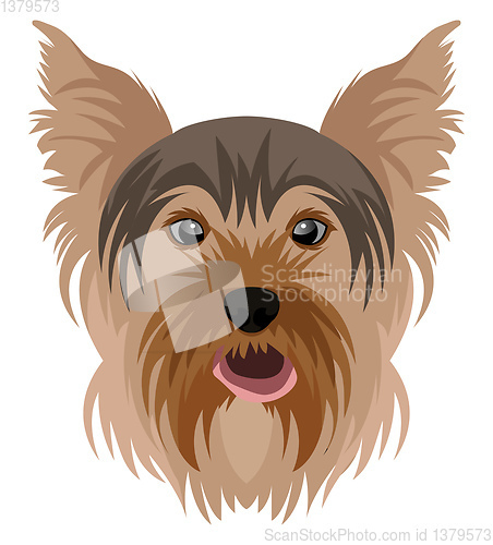 Image of Yorkshire Terrier illustration vector on white background