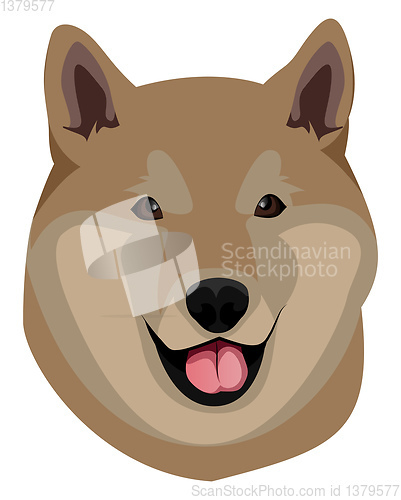 Image of Shiba illustration vector on white background