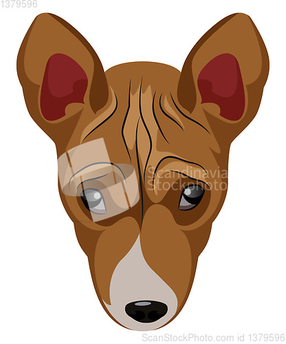 Image of Basenji illustration vector on white background