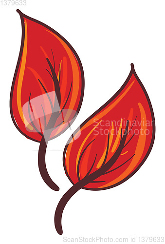 Image of Clipart of two orange-colored leaves vector or color illustratio