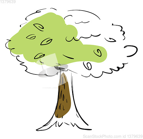 Image of Tree sketch vector or color illustration