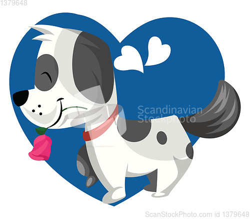 Image of Black and white dog holding a pink rose in his mouth vector illu
