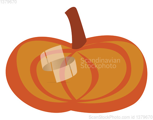 Image of An oval shaped pumpkin vector or color illustration