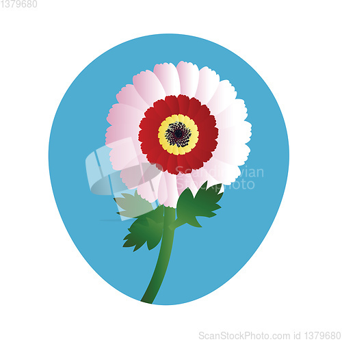 Image of Vector illustration of white red and yellow chrysanthemum flower