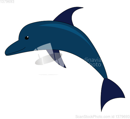 Image of Vector illustration of a blue dolphin on white background 
