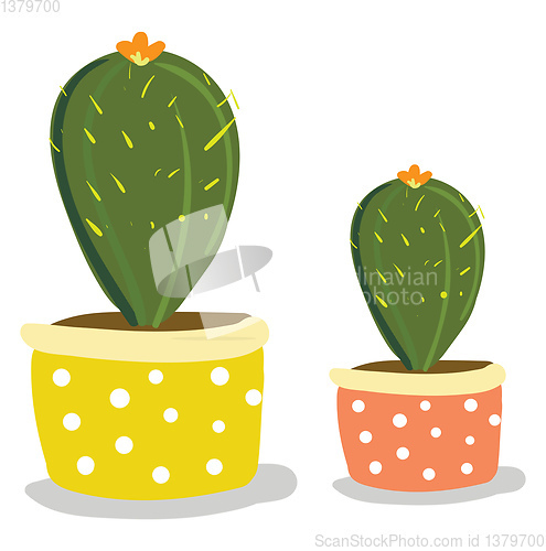 Image of Two cactus plants with flowers in beautiful decorated pots for d