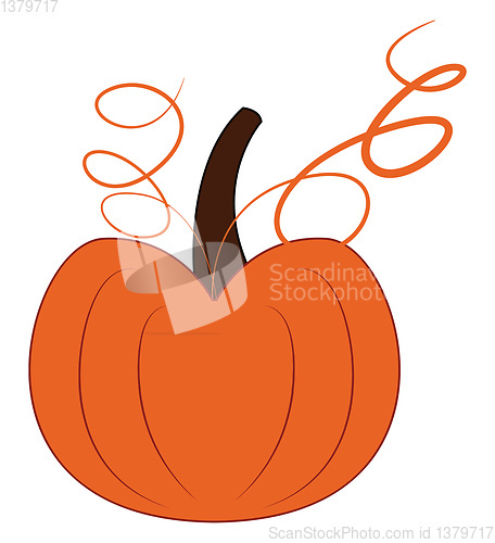 Image of Tasty pumpkin vector or color illustration