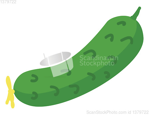 Image of Simple cucumber vector illustration on white background.