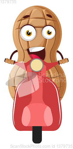 Image of Peanut driving scooter, illustration, vector on white background