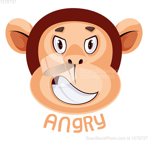 Image of Monkey is feeling angry, illustration, vector on white backgroun