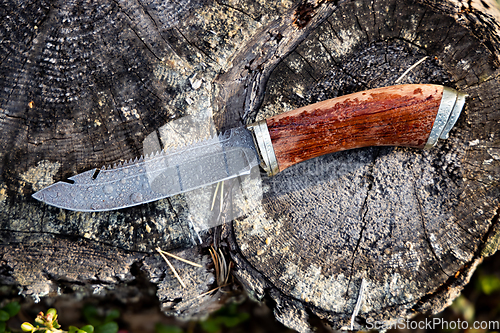 Image of Hunting knife damascus steel on a forest background close-up