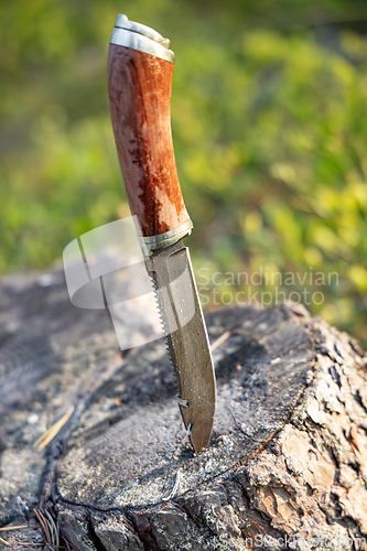 Image of Hunting knife damascus steel on a forest background close-up