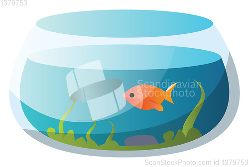 Image of Round fishbowl with one goldfish vector illustration on a white 