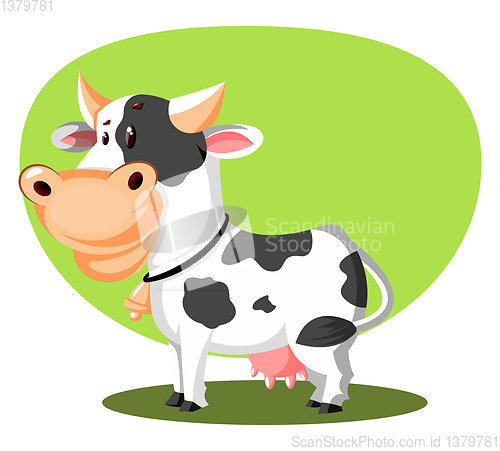 Image of White Cow, vector color illustration.