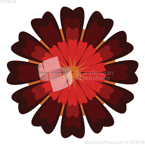 Image of A flower with red and brown petals vector or color illustration