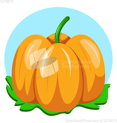 Image of Orange capsicum, vector color illustration.