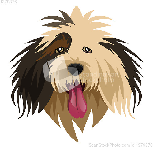 Image of Sheep Dog illustration vector on white background