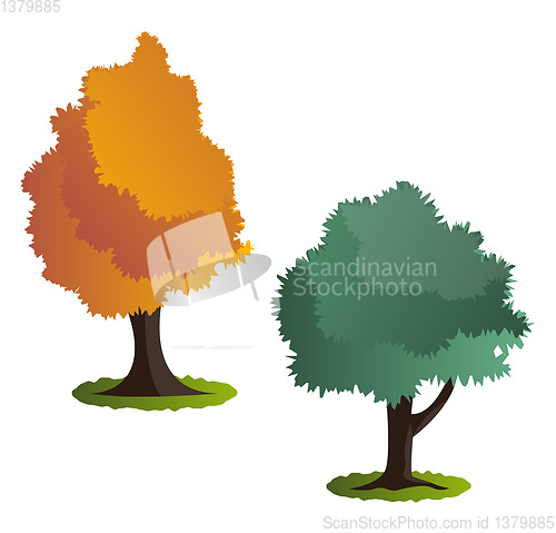 Image of Two autumn tree vector illustration on white background