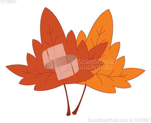 Image of Dried yellow and red leaves print vector on white background