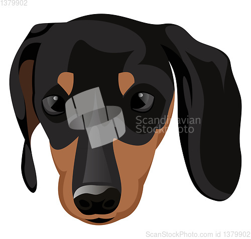 Image of Small Doberman illustration vector on white background