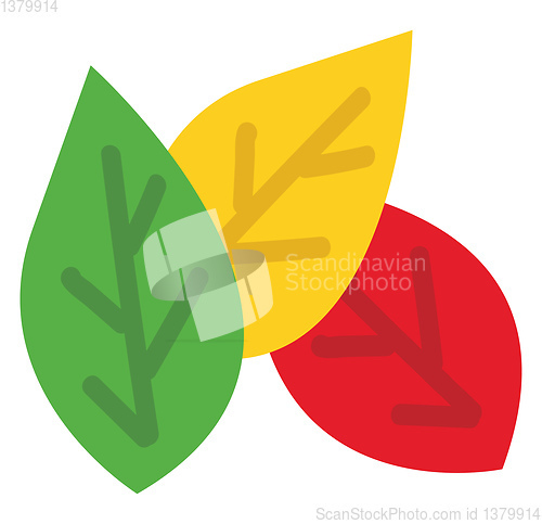 Image of Different colour leafesillustration vector on white background